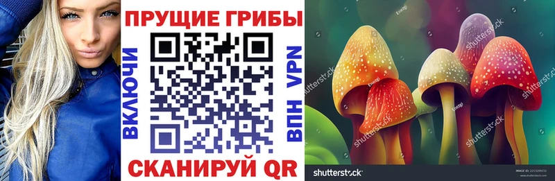 как найти закладки  Сосновка  Галлюциногенные грибы мицелий 